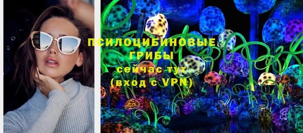 PSILOCYBIN Верхний Тагил